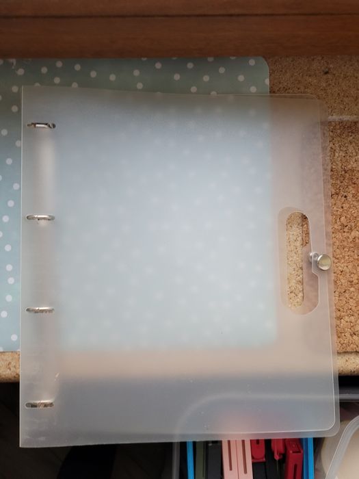 Segregatory pierścieniowy