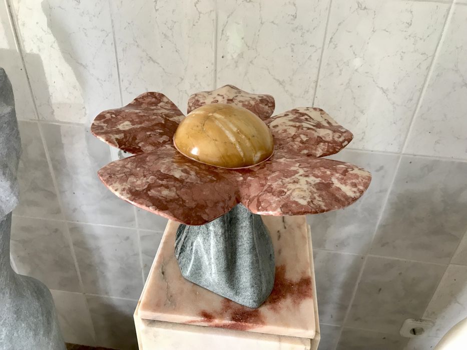 Flor em vários tipos mármore