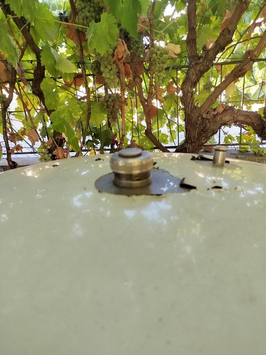 Cuba em Inox para vinho