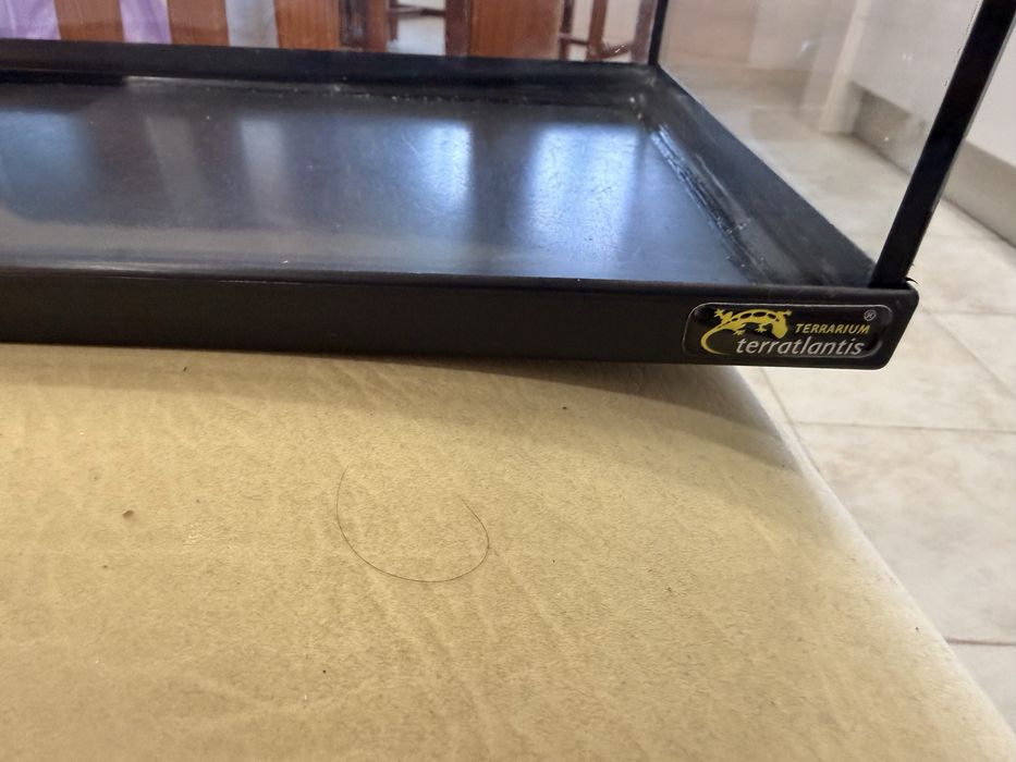 Tartarugueira pequena 40x20