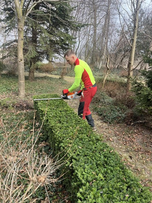 Przycinanie Żywopłotów, Pielęgnacja Ogrodów