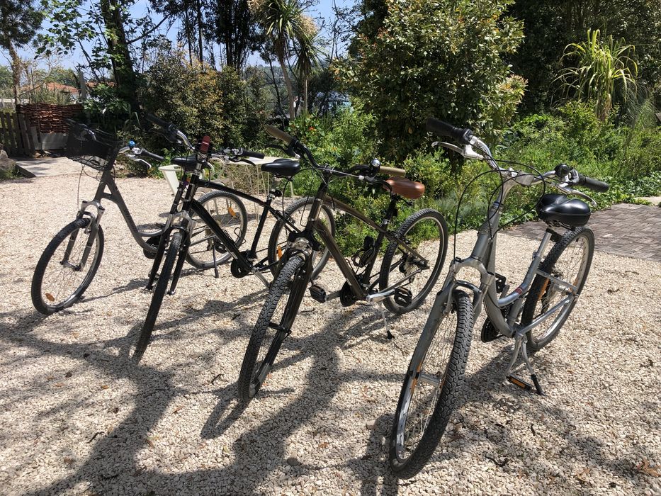 Bicicletas de passeio specialized low entry carmel