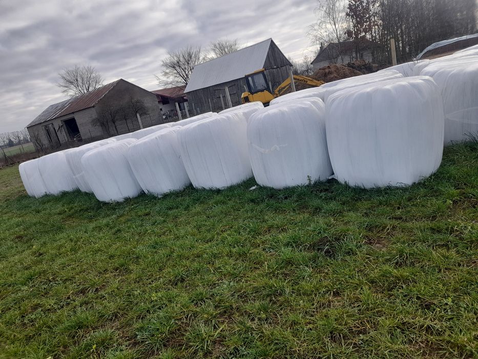 Sianokiszonka 1 pokos w belach 2025