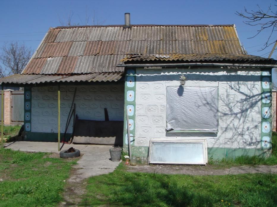 Усадьба, дом, участок с.Сотницкое, 31 соток, Петриковский р-н