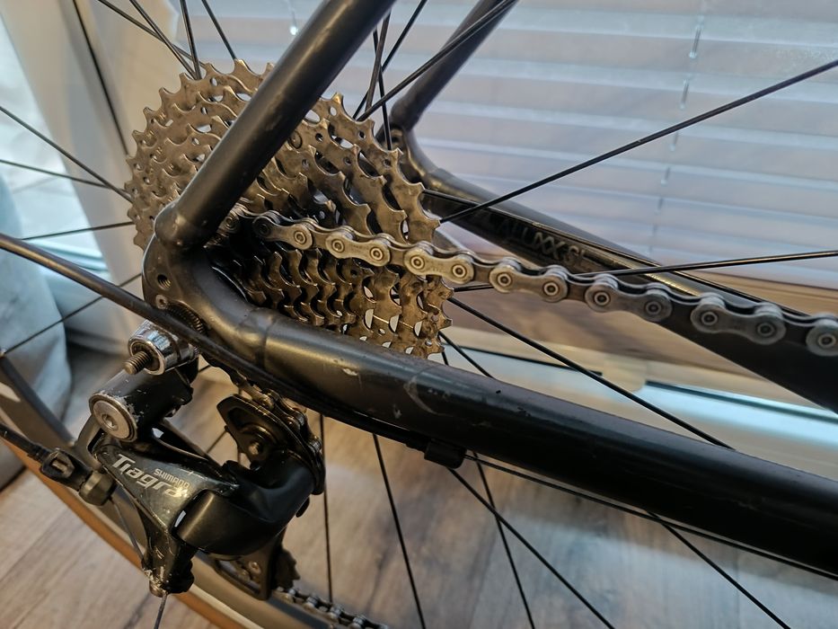 Giant contend sl2