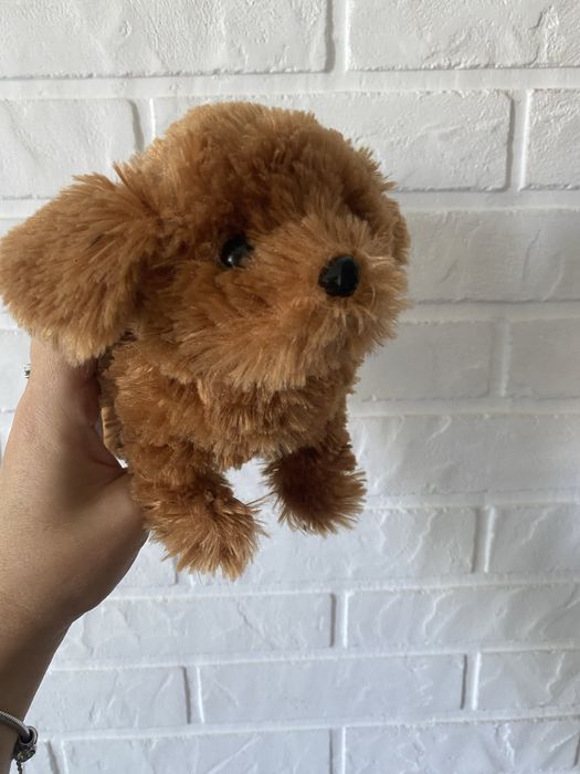 Гуляючий печик piter patrr Pets вінтажна