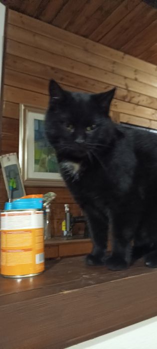 Kleopatra szuka kochającej rodziny.