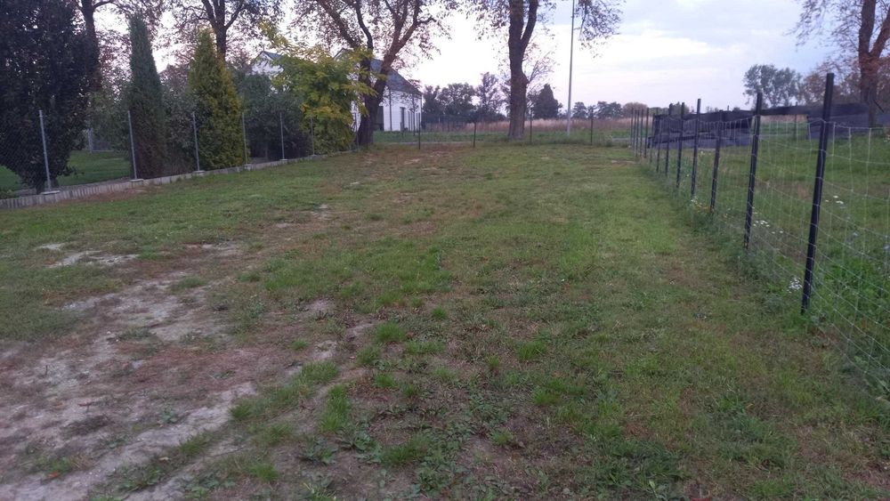 Działka 240 m2 Czempiń - wynajem