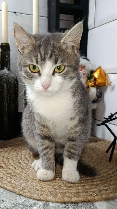 Їй дуже потрібен дім і своя людина