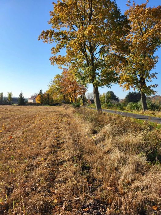 Działki rolne na sprzedaż - Widok 5