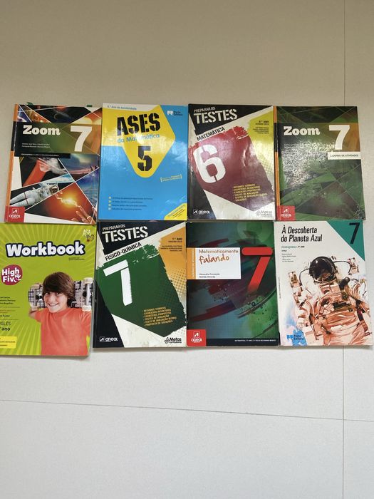 Manuais escolares  e cadernos de atividades de varias disciplinas de 5