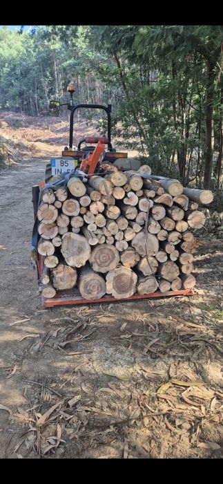 Serviços  de jardinagem limpeza de terrenos,  bricolage pinturas  l