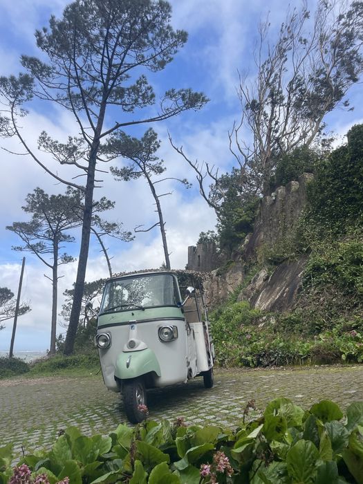Tuk tuk ape calessino 220