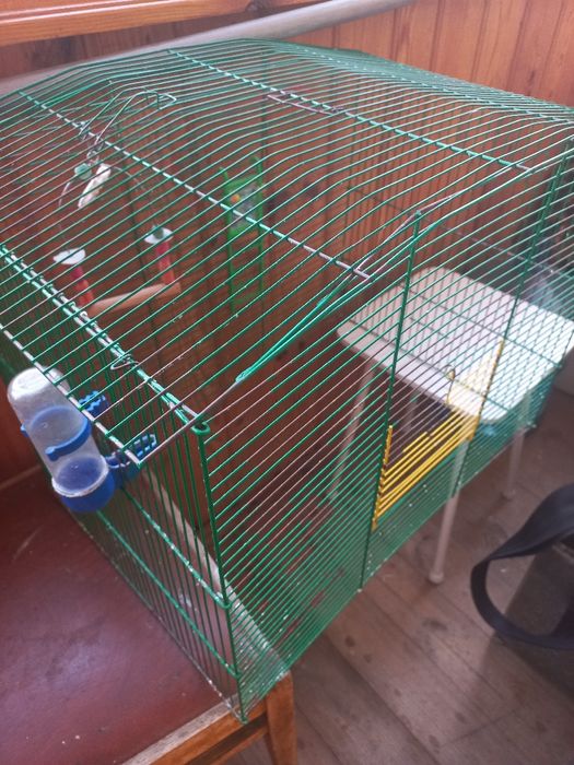 Клітка для гризуна