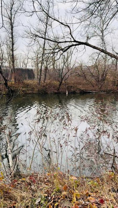 ‼️ ПРОДАЖ! Пай 2га в ПЕТРІВЦІ ‼️