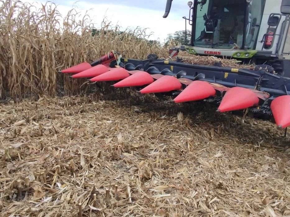 Przystawka do kukurydzy Capello Diamant HS8