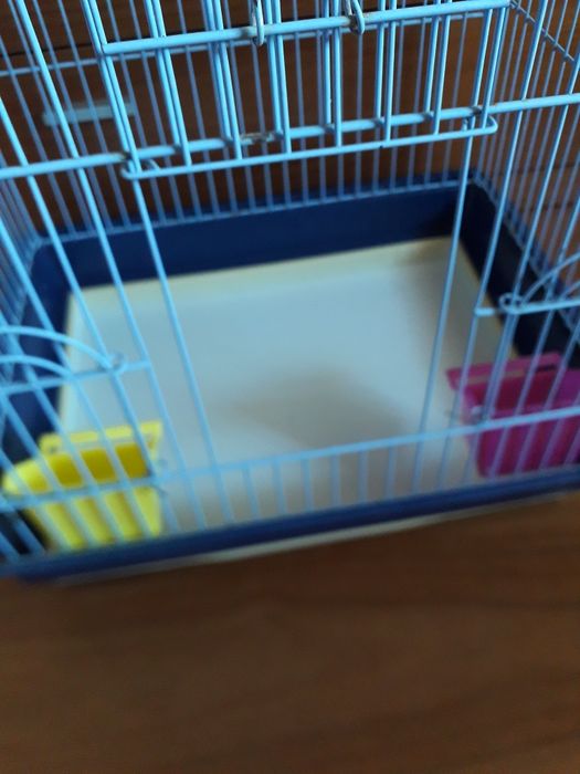 Gaiola para papagaio