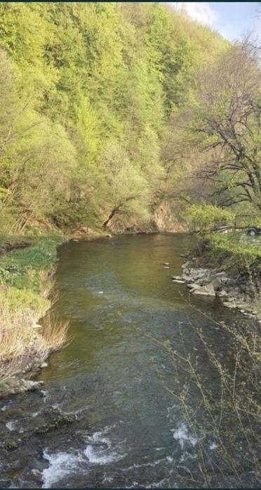 Відпочинок  від тривог ,в теплі та зі світлом ‼️Закарпаття  ‼️Свалява