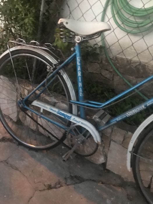 Bicicleta Pasteleira Coleção Sangal Carina