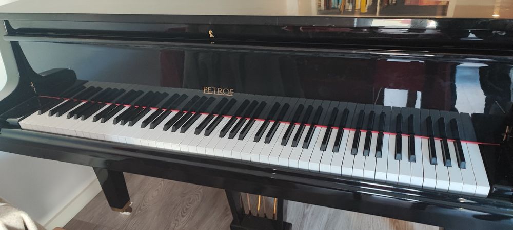Vendo Piano Petrof 1/4 cauda