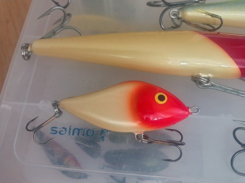 Salmo Whitefish Sweeper Slider