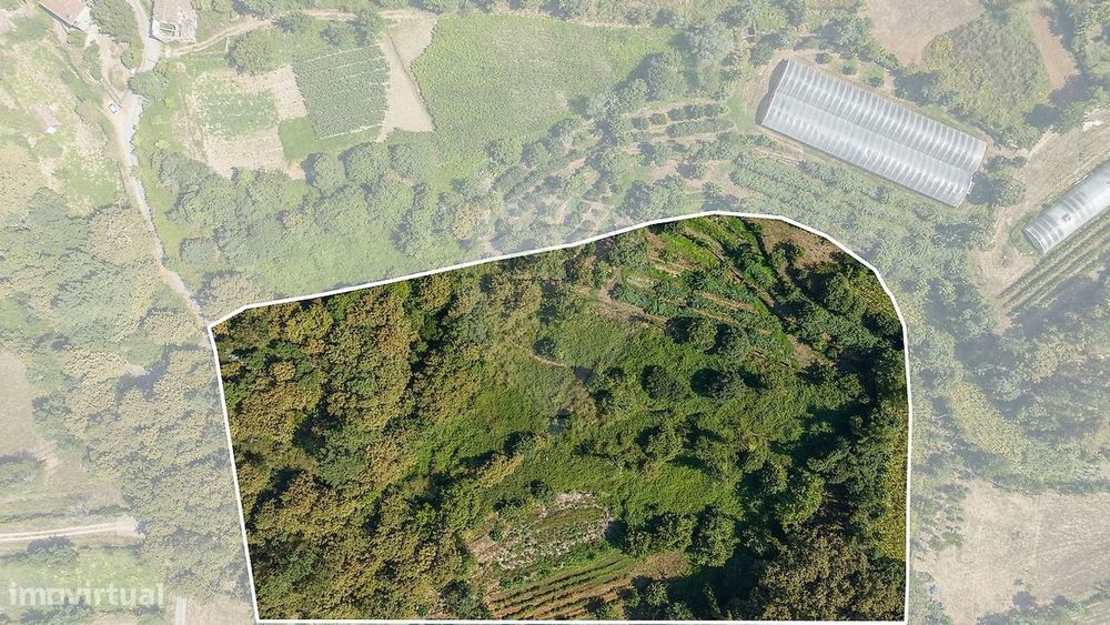 Terreno  para venda