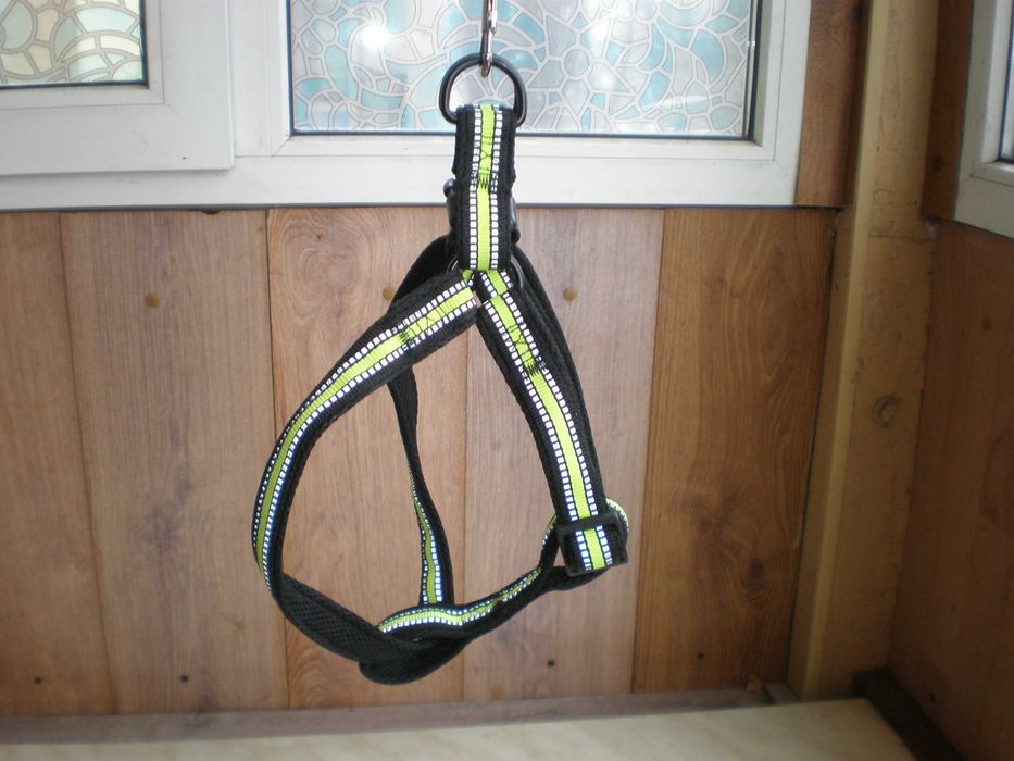 Шлейка з повідцем для собак комплект GIYOOMI світловідбиваючий