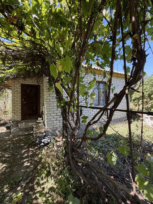 Продам дачу в Камʼяній горі. ( Камʼяногірський масив).