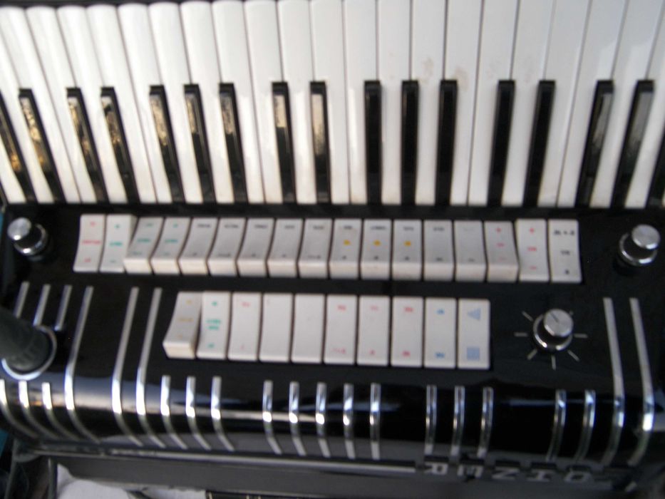 Akordeon elektroniczny Hohner Sulechów • OLX.pl