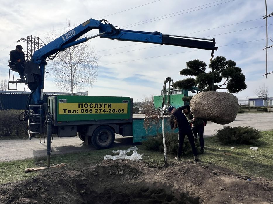 Услуги манипулятора