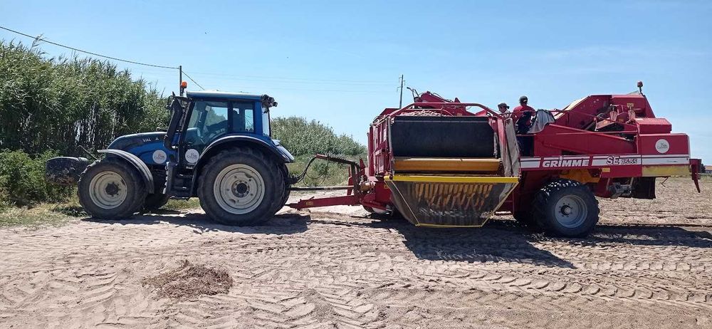 Limpeza de Terrenos Agrícolas e Florestais – Corte/Remoção de Árvores