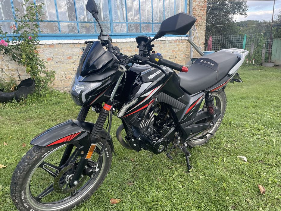 Продам мустанг фортуна