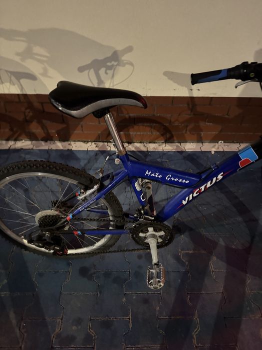 Rower Victus Mato Grosso