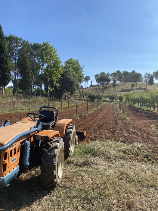 Vendo trator carraro 5500