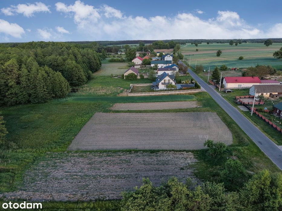 Zdjęcie 6