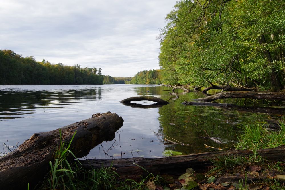 Pentax K-S2 z obiektywem Pentax 18-135 mm