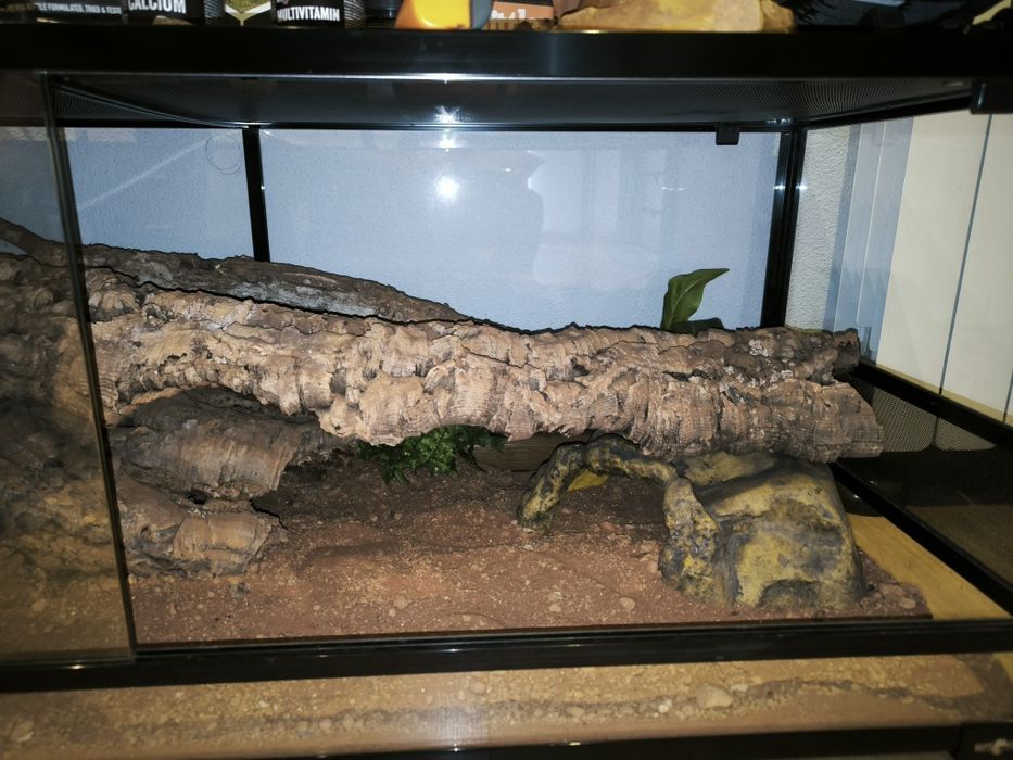 Terrário Grande C/ Acessórios