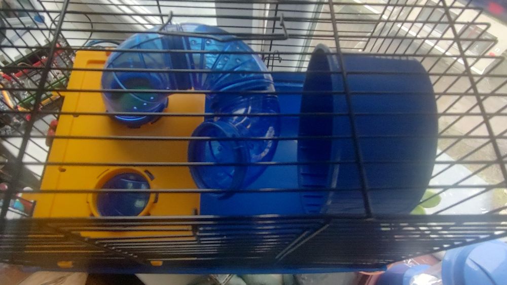 Клітина для гризунів, Хом'яків.