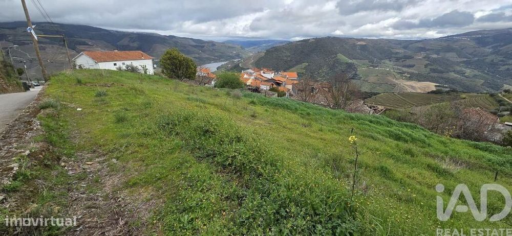 Terreno Agrícola em Vila Seca e Santo Adrião