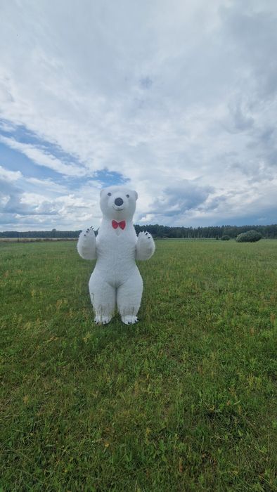 Miś Krzyś XXL Na każdą imprezę