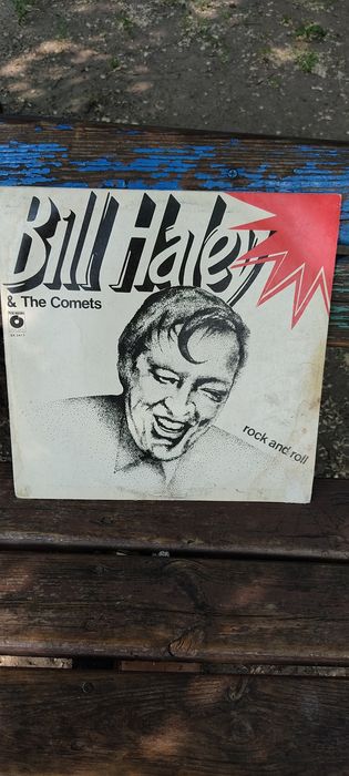 Билл Хэйли,группа кометы