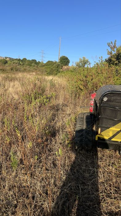 Limpeza de terrenos agricolas e florestais