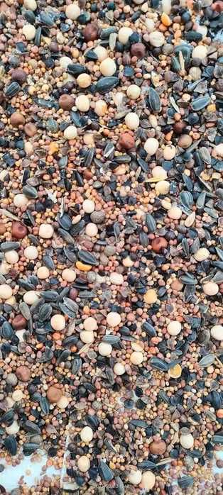 Mieszanka poplonowa, rzodkiew, gorczyca, gryka poplon wysyłka