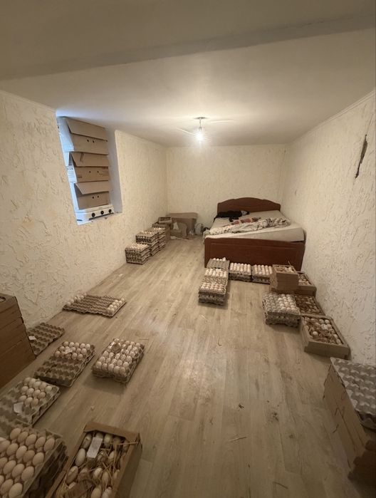 Продам дом с Бритовка