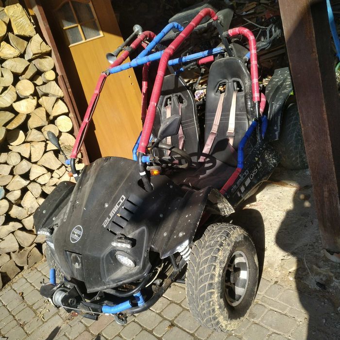 Buggy zumico 250