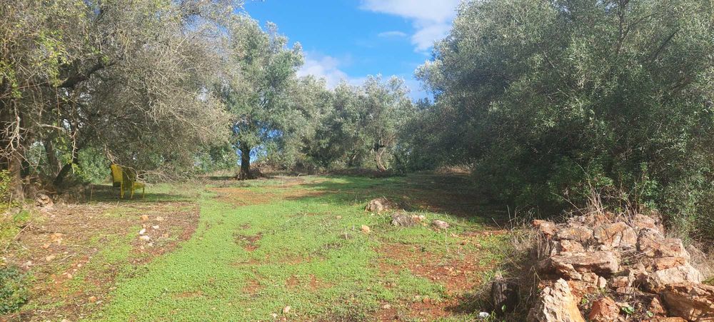 Terreno a 1km de Paderne