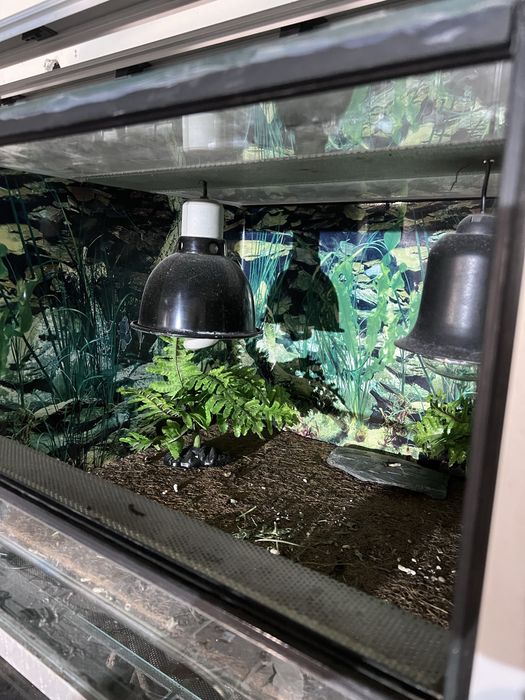 Sprzedam terrarium