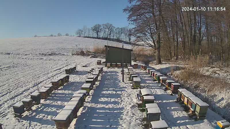 Odkłady Pszczele-rodziny od maja 2026r