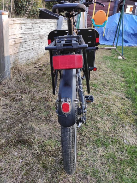 Riese Muller Load 60