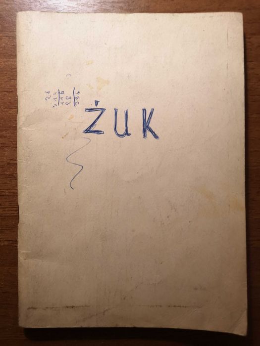 Instrukcja obsługi samochodu Żuk